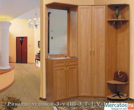 Прихожая на заказ за 3 дня с бесплатной доставкой 5